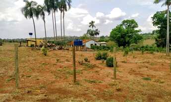 Imagem 3: Chácara de 7.32 alq. Em professor Jamil Goiás 2.200.000