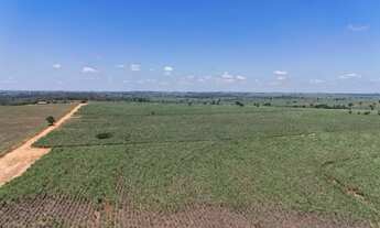 Imagem 2: Região de Jales/SP. São 66 alqueires com 55 alqueires em CANA!!!