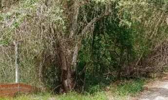 Imagem 2: CH285 - Chác. 1.500,00m² no Primavera; casa em obra 2 dorm. 1bh, edícula pronta. Doc. ok!