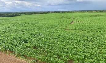 Imagem 5: FAZENDA 1.132 HECTARES VALE DO ARAGUAIA GRANDE OPORTUNIDADE!