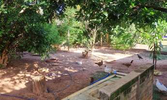 Imagem 6: CHÁCARA P/ NATAL E ANO NOVO