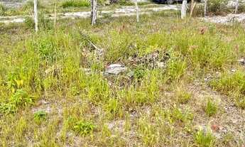 Imagem 3: Terreno em Santo Amaro das Brotas