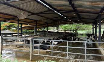 Imagem 3: Chácara Chácara com venda por R$2.500.000