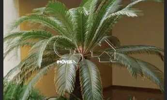 Imagem 2: ALUGA-SE/VENDE-SE LINDA COBERTURA 345,00M 3 SUITES CENTRO DE JUNDIAÍ