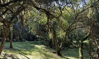 Imagem: Terreno à venda, Fiuza - Viamão/RS