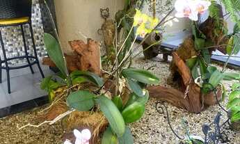 Imagem 7: Quartos mobiliados