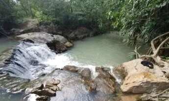 Imagem: A M Imoveis vende exelente fazenda com 306hectares