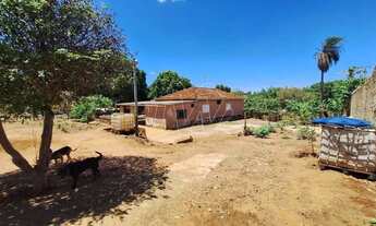 Imagem 5: Venda de Rural / Chácara na cidade de Araraquara