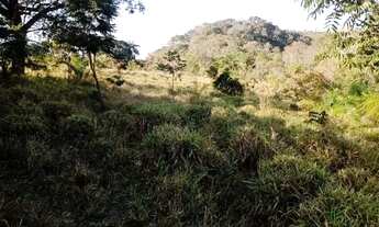 Imagem 6: Terreno 29ha, terra boa e quase todo formado em branquearão, Baldim