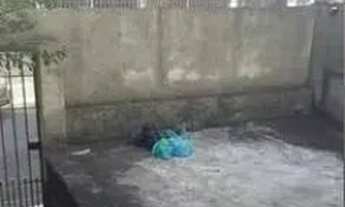 Imagem 6: Casa à venda na Vila Guarani (Z Sul) com 138m² 2 dormitórios 2 banheiros 1 vaga