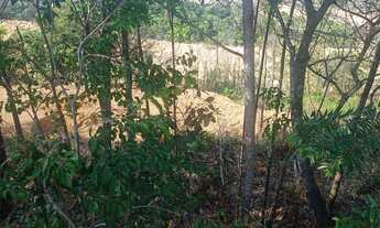 Imagem 6: Vende-se chácara