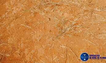 Imagem 6: Fazenda à Venda em Doverlândia GO | 433 Alqueires