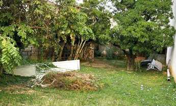 Imagem 2: Terreno com 430 m² para Alugar - Jardim São Luiz