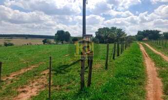 Imagem 3: CEDRAL (SP) Sítio com 2 alqueires