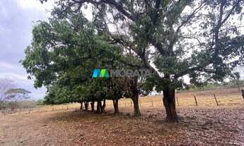 Imagem 5: FAZENDA À VENDA - 275 HECTARES - REGIÃO DE CURVELO (MG