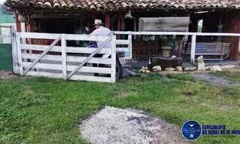 Imagem 7: Fazenda à Venda em Arenópolis GO