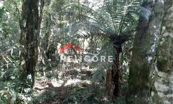 Imagem 7: Lote em Rua dos Jasmins - Colinas - São Francisco de Paula/RS