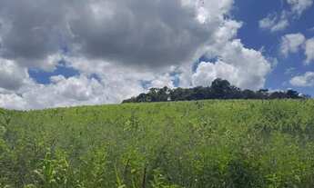 Imagem 7: Terrenos para venda com 1000 metros quadrados em Colégio - Ibiúna - SP