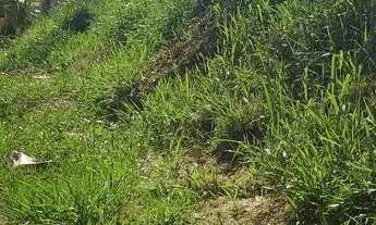 Imagem 6: Lote Av Brasil Parque das Nações