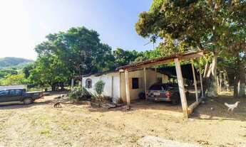 Imagem 5: CHÁCARA ESPETACULAR 10 HECTARES