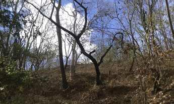 Imagem 3: CHÁCARA PRÓXIMA BARRAGEM COPASA