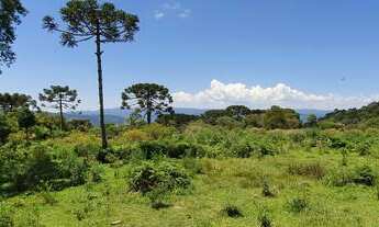 Imagem 2: Sítio em Urubici/ chácara em Urubici