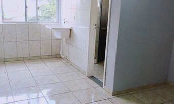 Imagem 6: Alugo Kitnet Centro de Umuarama