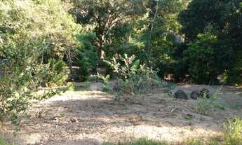 Imagem 6: Sítio ( Cachamorra ) Próximo ao Campo do Chacrinha , Zona Oeste RJ
