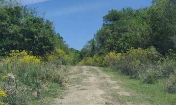 Imagem 6: 51 hectares de campo sem benfeitorias