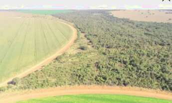 Imagem 6: Fazenda em Paracatu-MG, 2.200 hectares