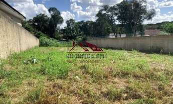 Imagem 2: Excelente Terreno Plano e todo murado! Ótimo para Industria