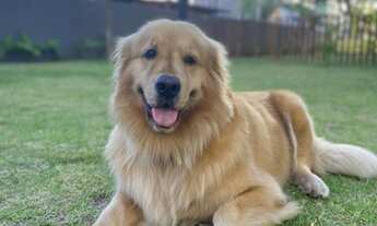 Imagem 6: No coração de Boa Viagem