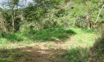 Imagem 6: Terreno com 800 metros no Centro de Domingos Martins