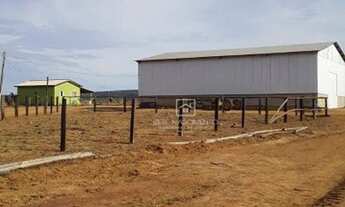 Imagem 2: Fazenda Santa Rita Trielato MT