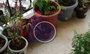 Imagem 6: São Paulo - Apartamento Padrão - Vila Bela