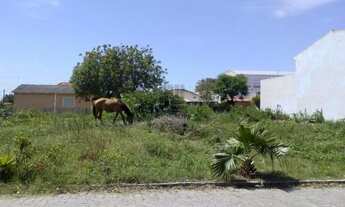 Imagem 5: PELOTAS - Terreno Padrão - Três Vendas