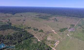 Imagem 2: Fazenda 250 Alqueires União Bandeirantes