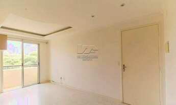 Imagem 4: SãO PAULO - Padrão - Vila Roque