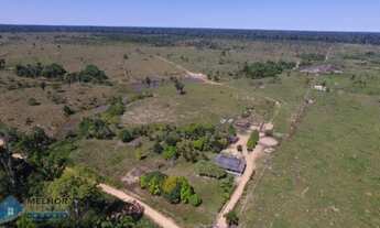 Imagem 3: Fazenda 250 Alqueires União Bandeirantes