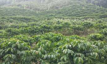 Imagem 2: Sitio Viana 6 hequitares