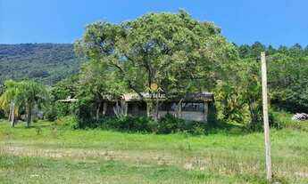 Imagem: FLORIANóPOLIS - Sítio - Ratones