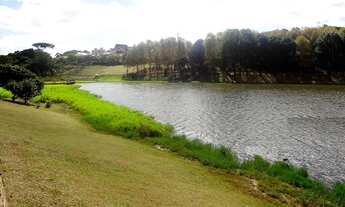 Imagem 4: Apartamento com 3 dormitórios à venda em City América