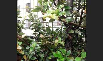 Imagem 7: APARTAMENTO COM 2 QUARTOS À VENDA, 50 M² POR R$ 170.000