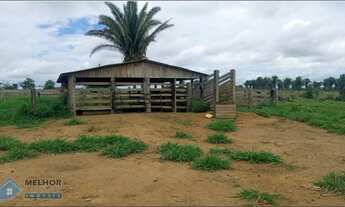 Imagem 5: Sítio 82 Alqueires Machadinho D`Oeste