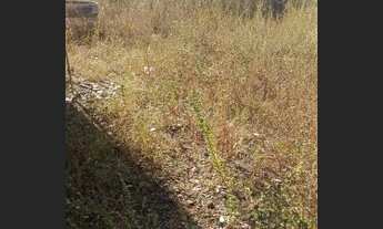 Imagem 2: Chácara para venda no Incra 9 - DF Boa Esperança