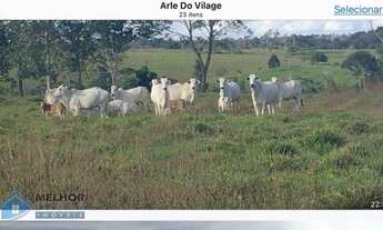 Imagem 4: Fazenda 175 Alqueires Presidente Médici