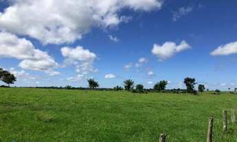 Imagem 4: Fazenda 1350 alqueires Região de Parecis