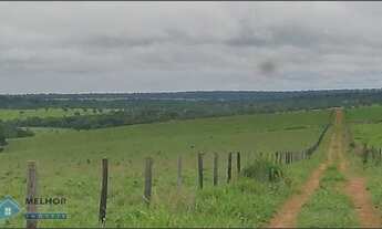 Imagem 7: Fazenda 549 Alqueires Região de Pimenta Bueno