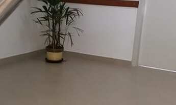 Imagem: Ponto comercial/Loja/Box para aluguel tem