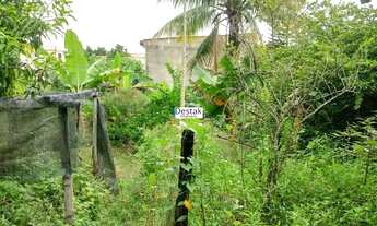 Imagem 5: CASA RESIDENCIAL em PIRAÍ - RJ, ARROZAL